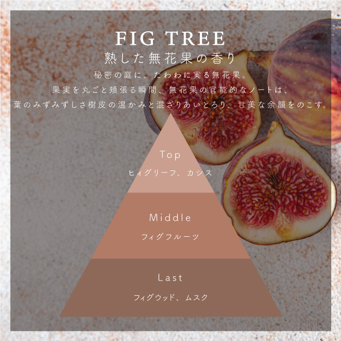 アロマ ティー キャンドル トラベル ティンキャンドル FIG TREE / フィグツリー プレゼント 癒しグッズ イチジク アウトドア キャンドル  持ち運び 木 芯