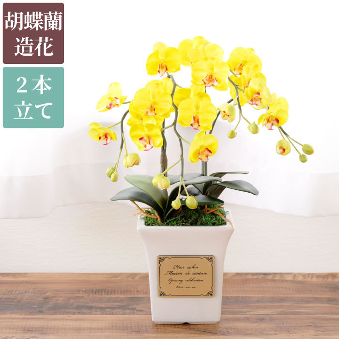 爆買い おしゃれな生花の祝い花 新鮮花で少し大きめにアレンジした素敵な花ギフト米寿の祝い 傘寿の祝い 長寿の祝い 移転祝い 開店祝い お祝いの花贈り 花の贈物 フラワーギフト 結婚祝い 栄転祝い Fucoa Cl