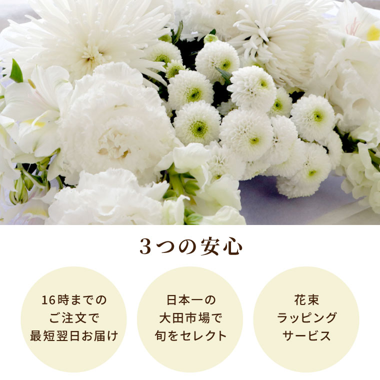 お供え お墓参り 花 一対 B 生花 仏花 花束 フラワー アレンジメント お悔やみ 命日 供花 墓花 切り花 献花 供養花 49日 一周忌 三回忌 仏壇 ご霊前 | ブランド登録なし | 05
