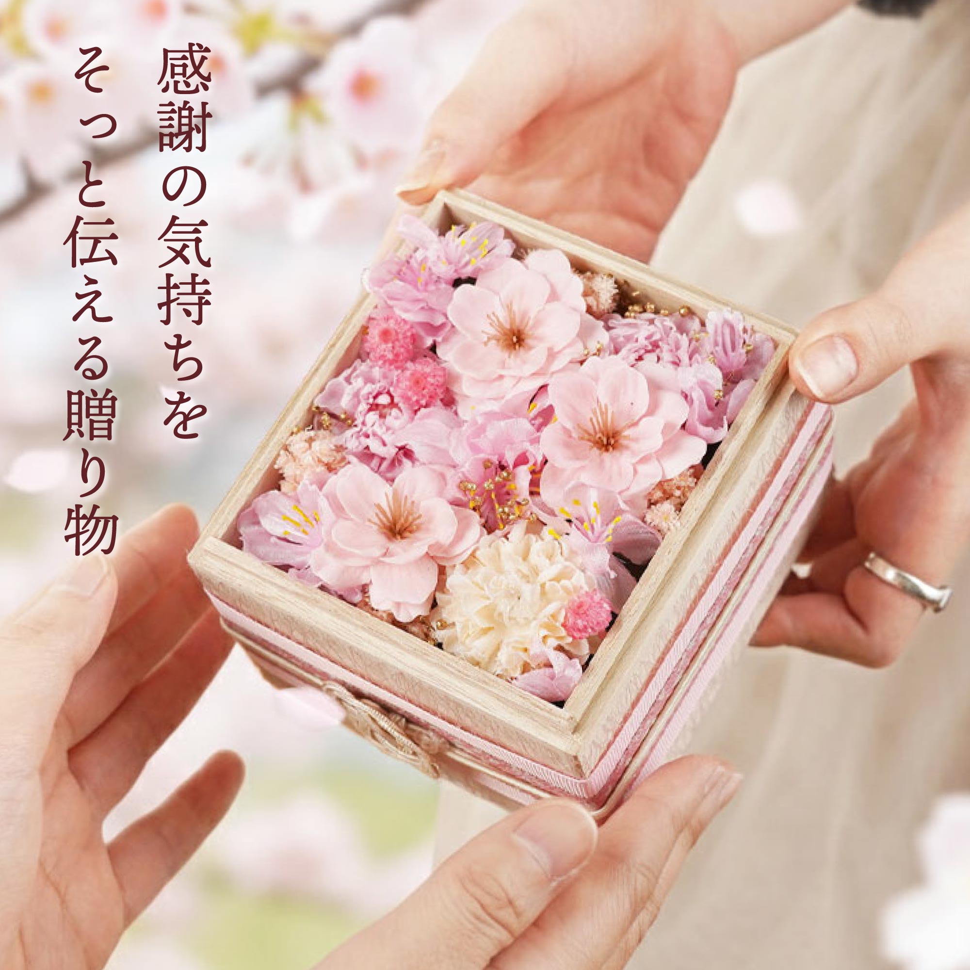 ギフト 桜 桐箱 プリザーブド フラワー さく...の詳細画像3