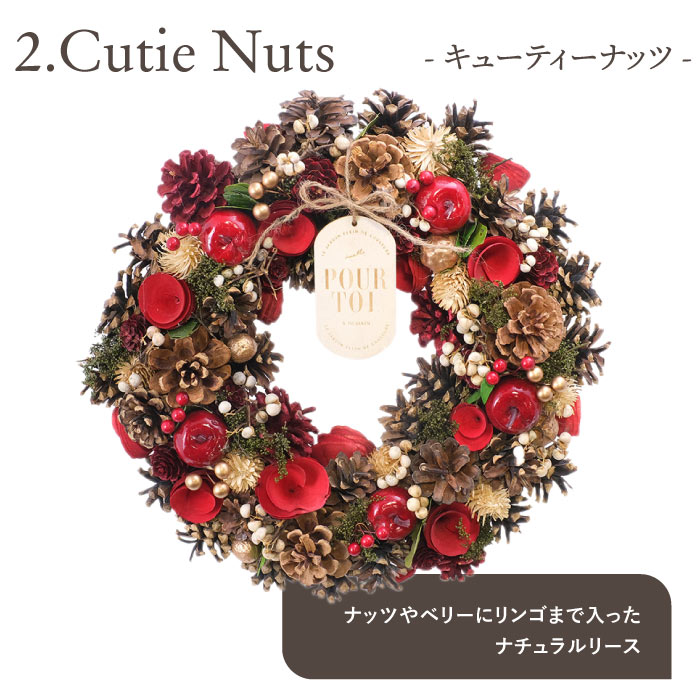 クリスマス リース 玄関 大きい 光る LED ライト 付き セレクトリース