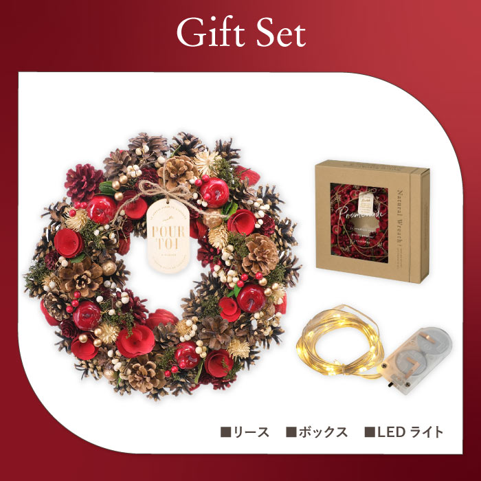 クリスマス リース 玄関 大きい 光る LED ライト 付き セレクトリース