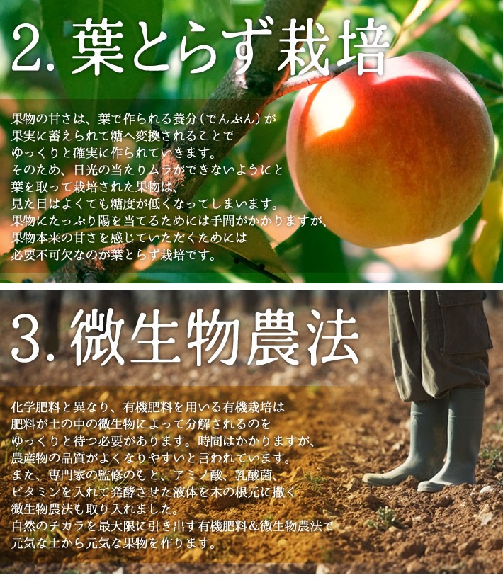 9月上旬〜中旬 シナノドルチェ 訳あり りんご 減農薬 長野県産 5キロ