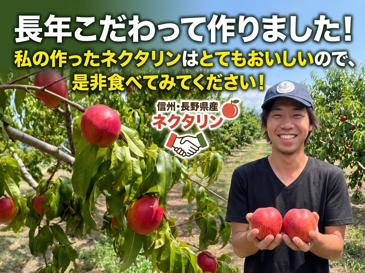 長野県産　ネクタリン　B品10kg 冷蔵発送 8月中旬〜下旬 ネクタリン 訳あり 減農薬 長野県産 2キロ : Su-eat