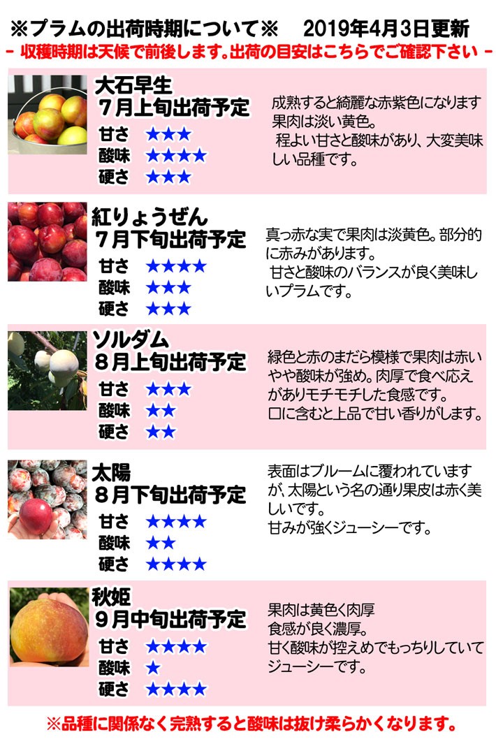 大石早生 プラム すもも 長野県産 2キロ レビューを書いたら200円クーポン :plum-tuujyo-2k:Su-eat Farm - 通販 -  Yahoo!ショッピング