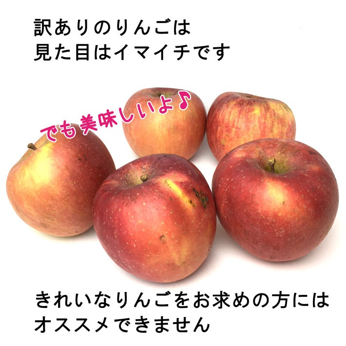 9月上旬〜中旬 シナノドルチェ 訳あり りんご 減農薬 長野県産 5キロ