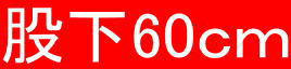 股下60ｃｍ