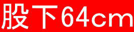 股下64ｃｍ