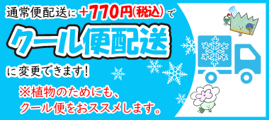 クール便770円