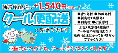 クール便1540円