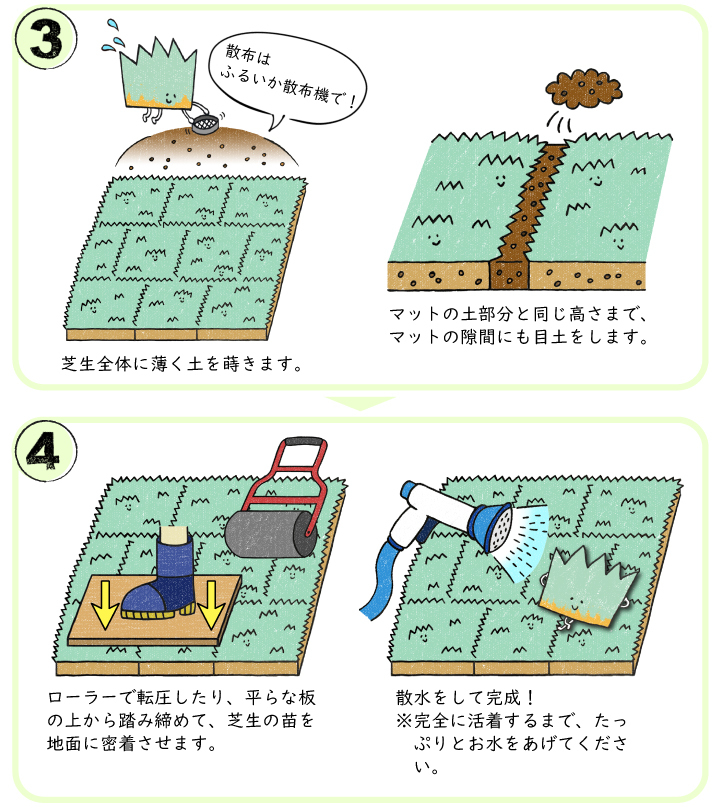 高麗芝マット植栽方法2