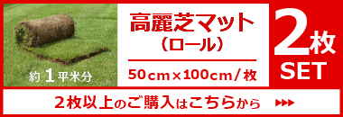 高麗芝ロール２枚