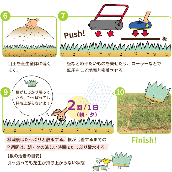 植栽の仕方3