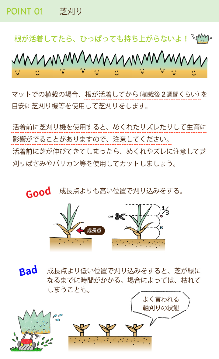 育て方のポイント（芝刈り）