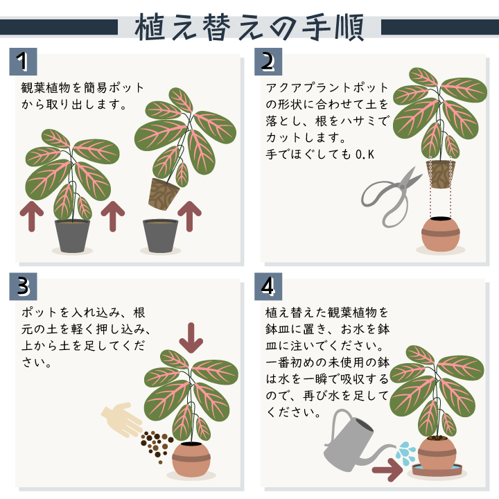 植替えの手順