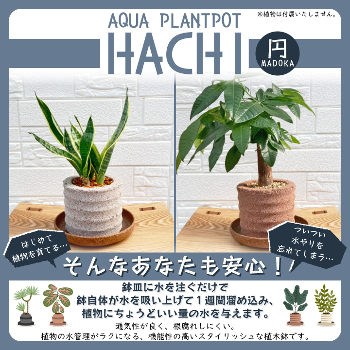 アクアプラントポット HACHI