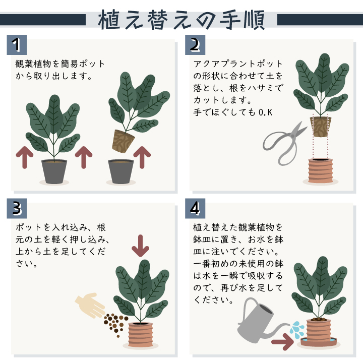 植替えの手順