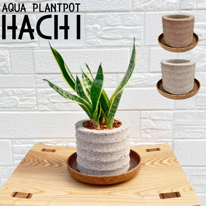 HACHI円