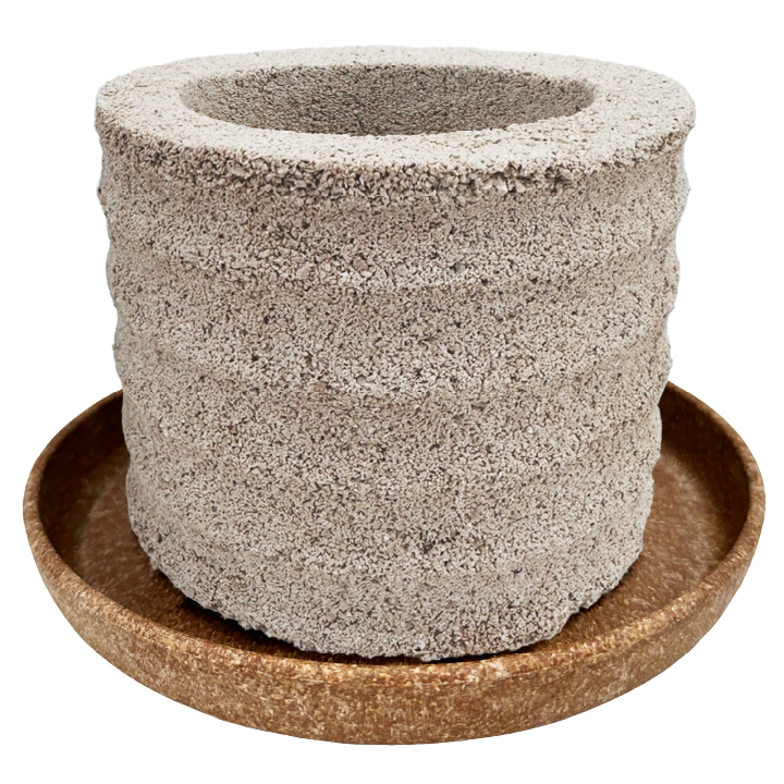 送料無料 〈AQUA PLANTPOT〉HACHI (円ーMADOKAー) ソーサー付 アクア