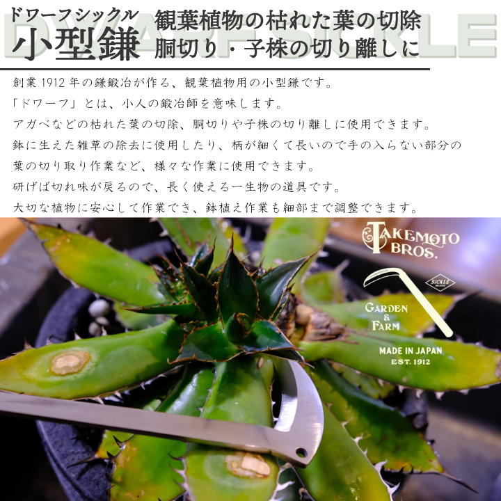 ドワーフシックルとは