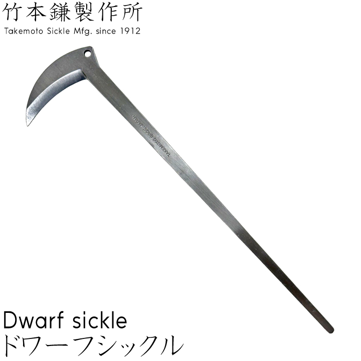 ドワーフシックル