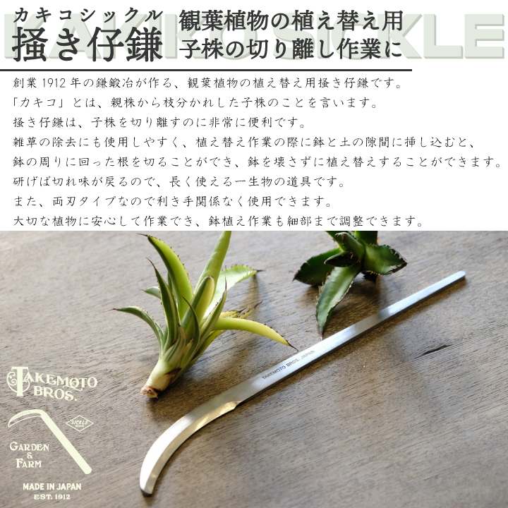 〓き仔鎌とは