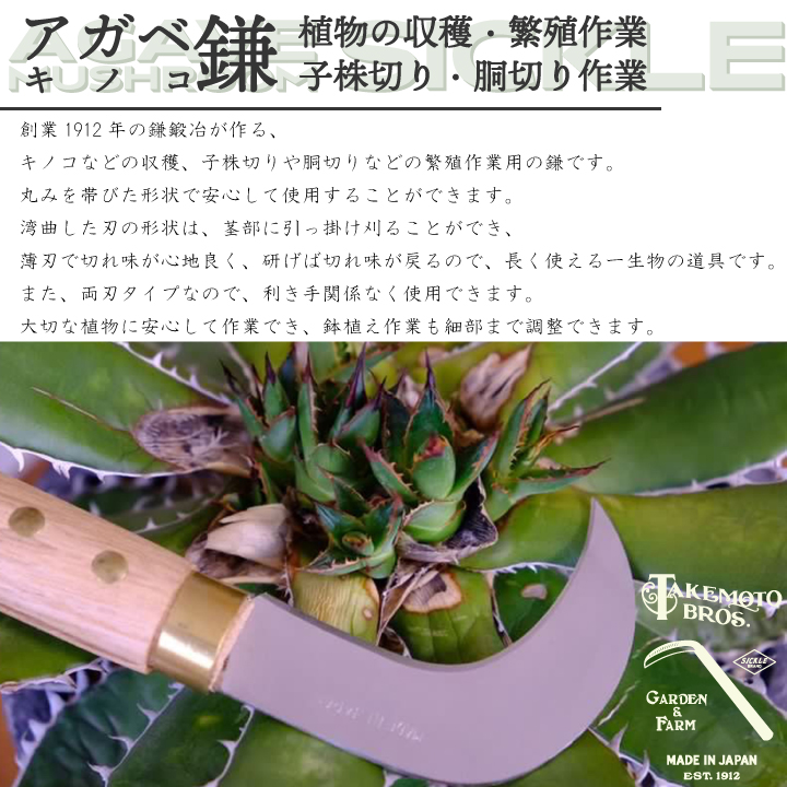 アガベ・キノコ鎌 とは