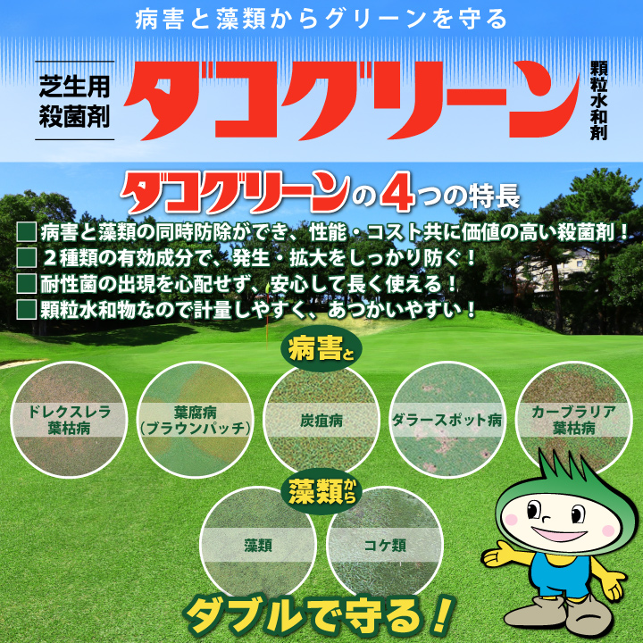 ダコグリーン