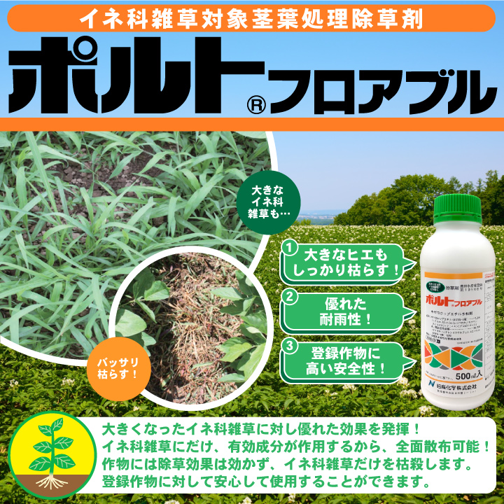 ポルトフロアブル