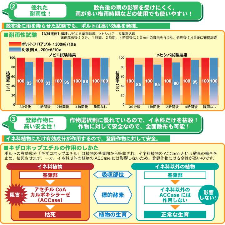 特長2