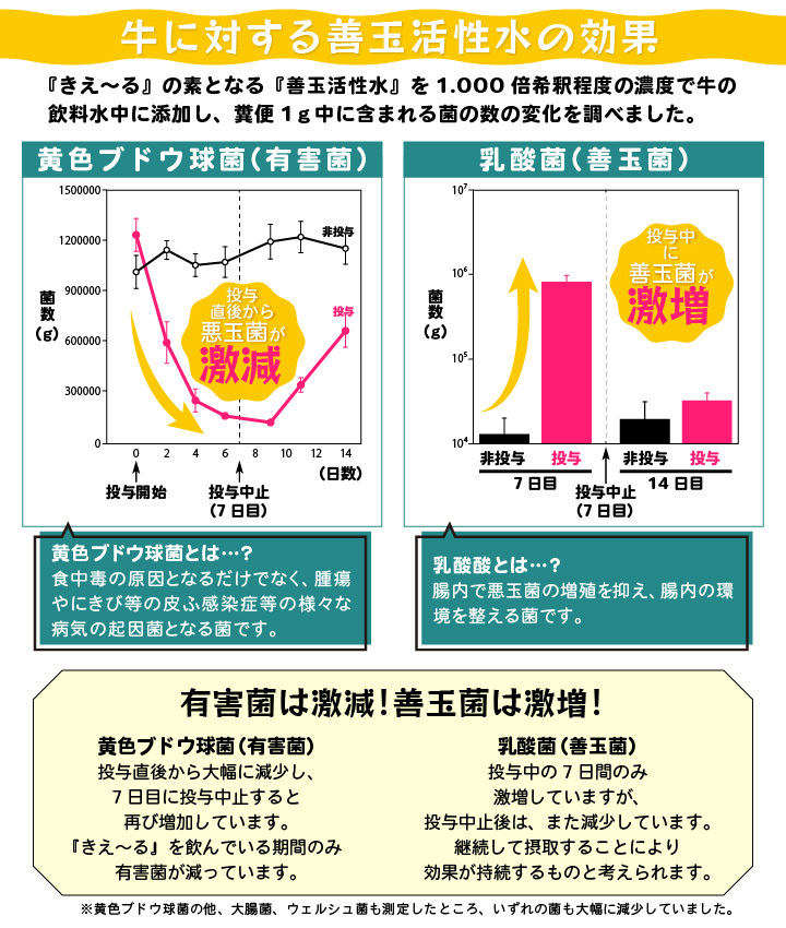 きえーる効果