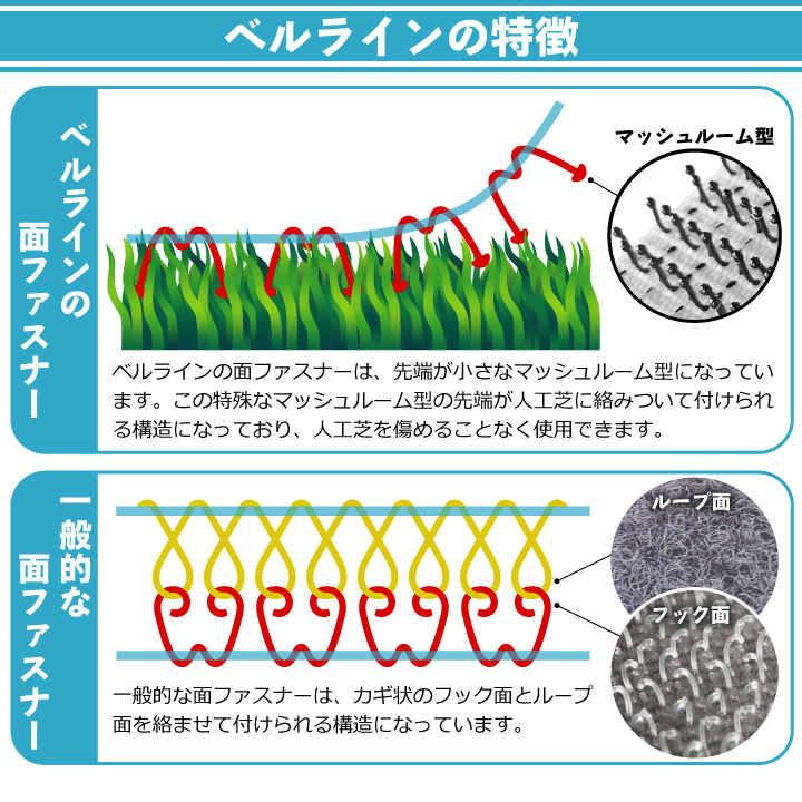 ベルライン50mm幅 特長