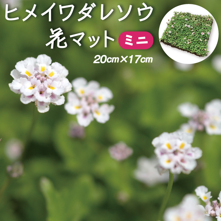 ミニ花マットサムネイル