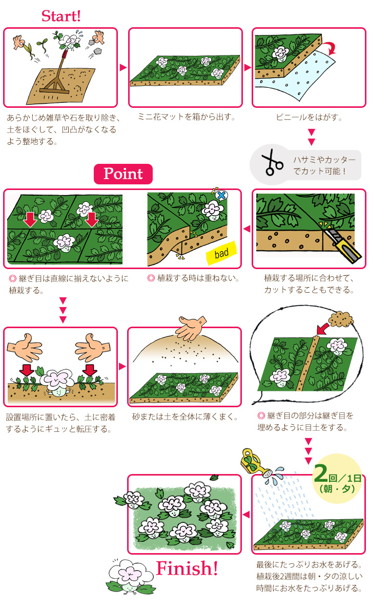 ミニ花マット植栽方法