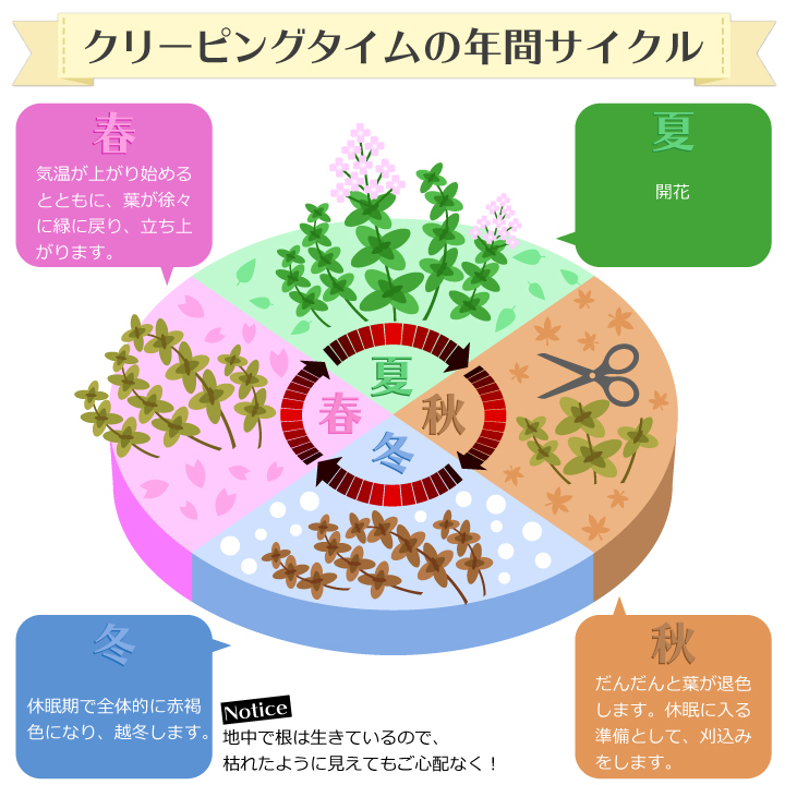 年間サイクル