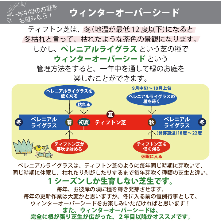 ウィンターオーバーシードについて