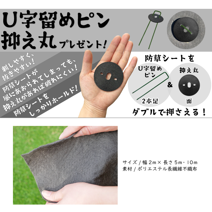 抑え丸プレゼント