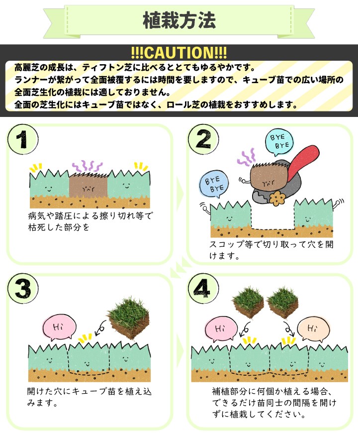 キューブ苗の植栽方法1