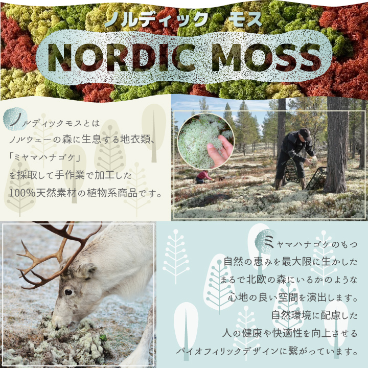 パネルモス1枚