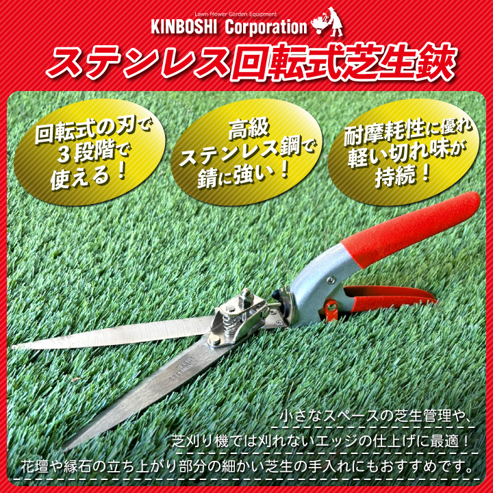 ホシクサsp.キンバリーナロー 1株　直径12cm Yahoo!オークション - ホシクサsp.キンバリーナロー 水中株 水草
