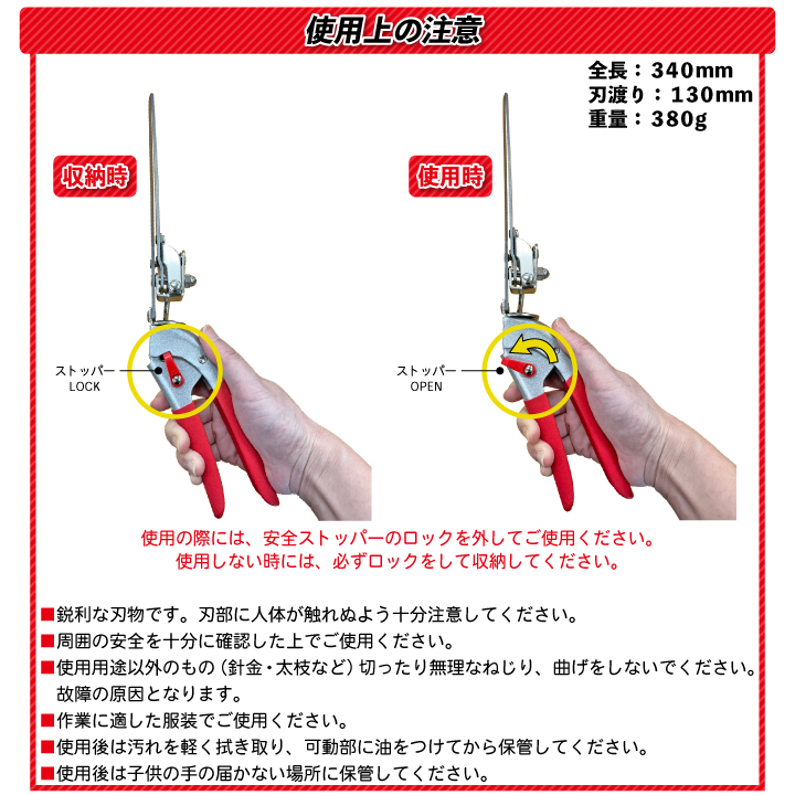 ホシクサsp.キンバリーナロー 1株　直径12cm ホシクサsp.キンバリーナロー 1株 直径12cm - メルカリ