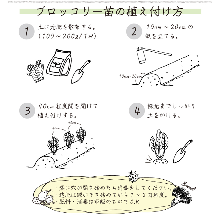 植え付け方法