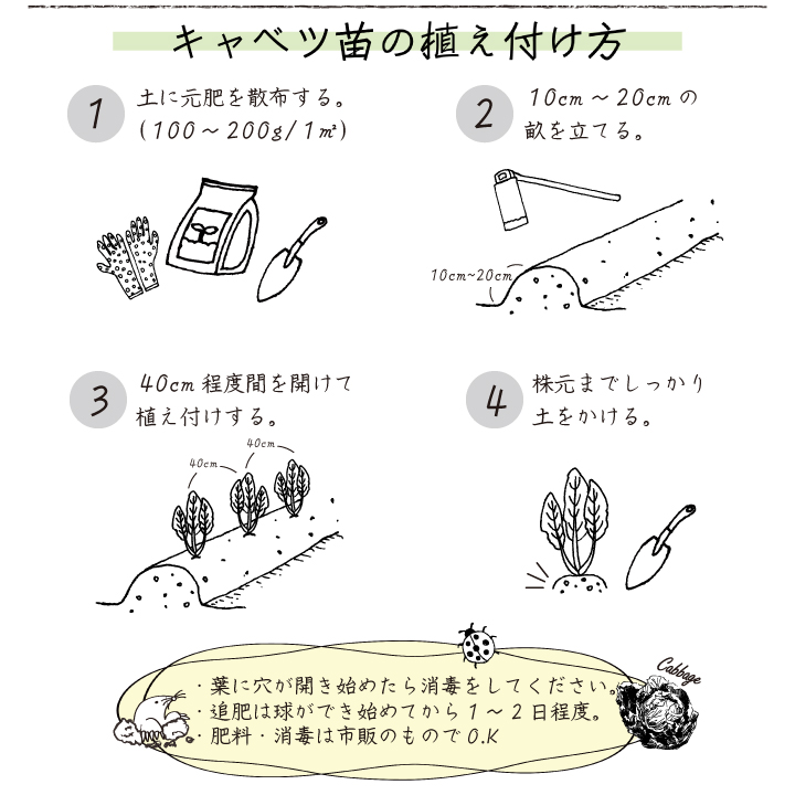 植え付け方法