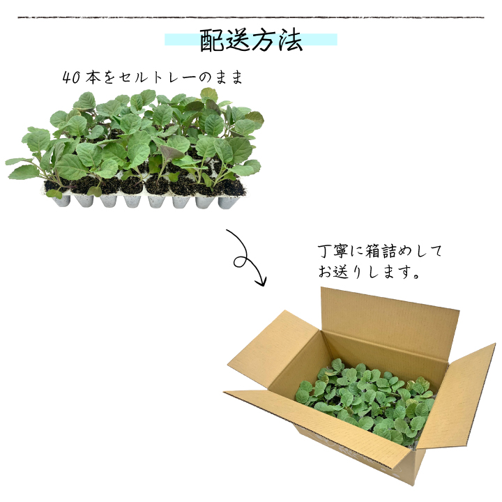 配送方法