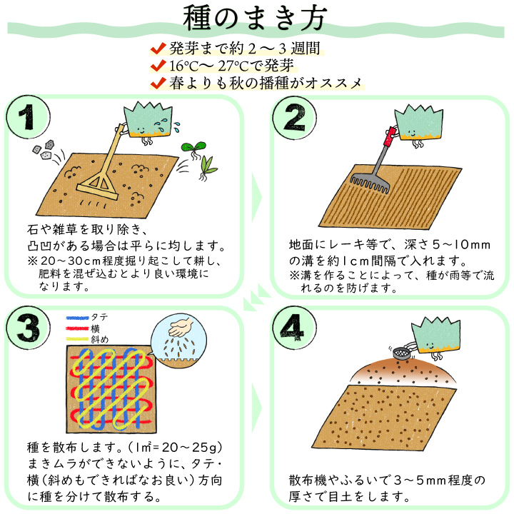 芝生 常緑 ケンタッキーブルーグラス(種) ミッドナイト 1kg 芝種 西洋