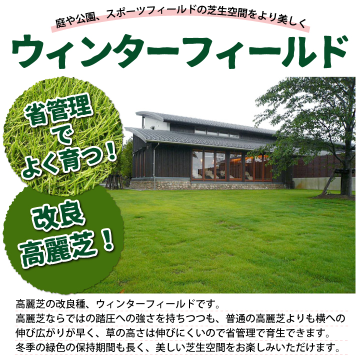 ウィンターフィールド20枚