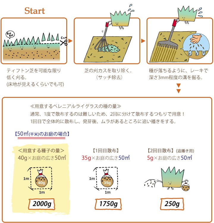 ウィンターオーバーシードの仕方1