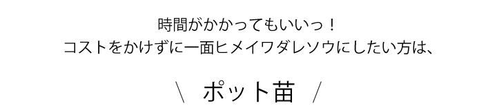 ポット苗