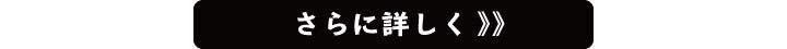 施工例もっと詳しく