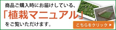 植栽マニュアル